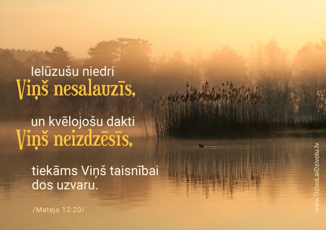 Ielūzušu niedri, Bībeles panti, Mateja evaņģēlijs