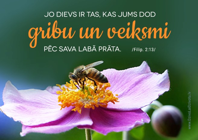 Bībeles panti, motivācija, griba, veiksme