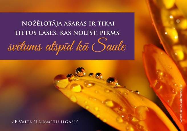 Elena Vaita, grēka nožēla, Laikmetu ilgas