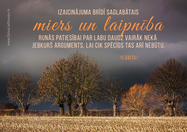 Elena Vaita, Laikmetu ilgas