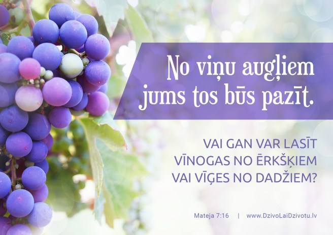 Bībele, Bībeles panti, augļi