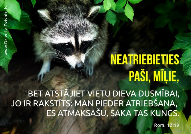 Bībele, Bībeles panti, atriebība, neatriebieties, vēstule romiešiem