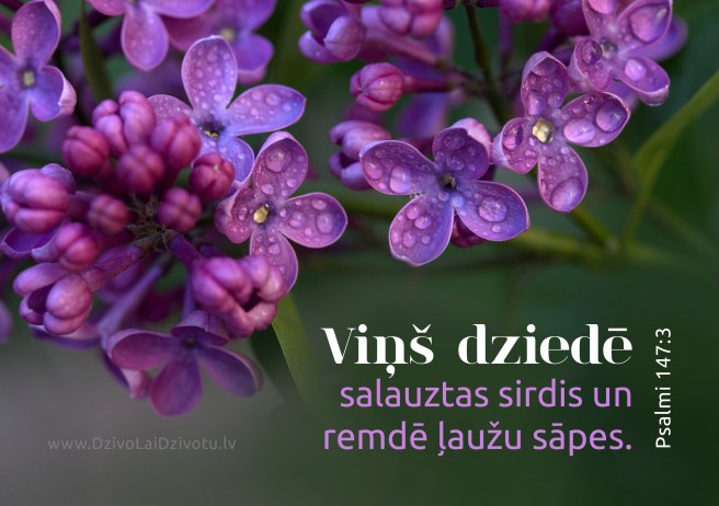 Bībele, Bībeles panti, Dievs dziedē, Dievs dziedina