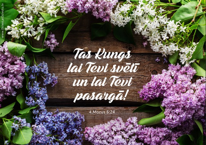 Tas Kungs lai Tevi svētī, Bībele, Bībeles panti