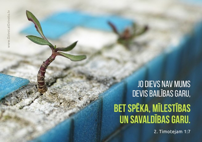 Bībele, Bībeles panti, Dieva mīlestība