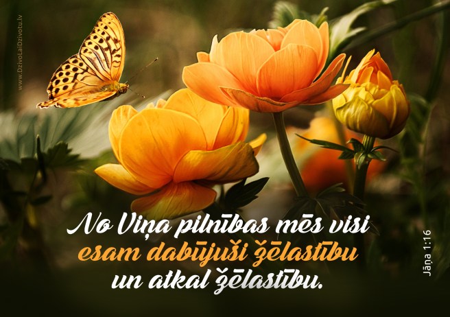 Bībele, Bībeles panti, Dieva žēlastība