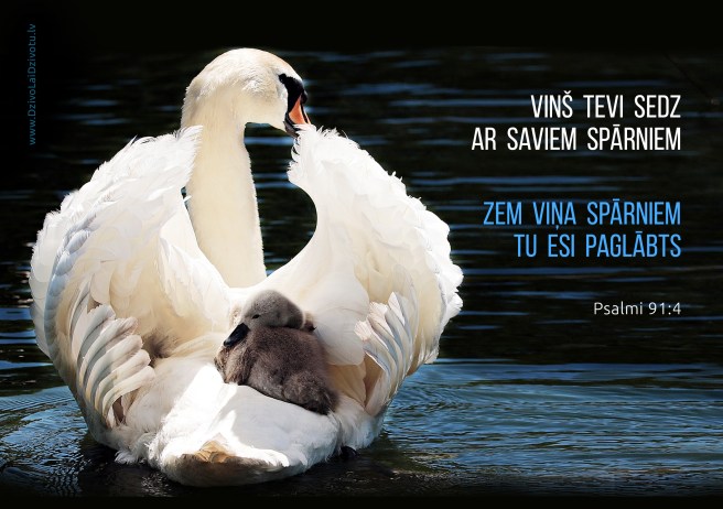 Bībele, Bībeles panti, Psalmi, Dievs sargā