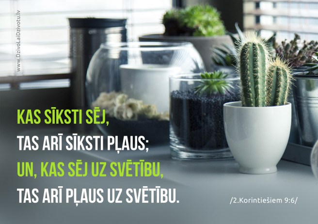 Bībele, sēšana, pļaušana