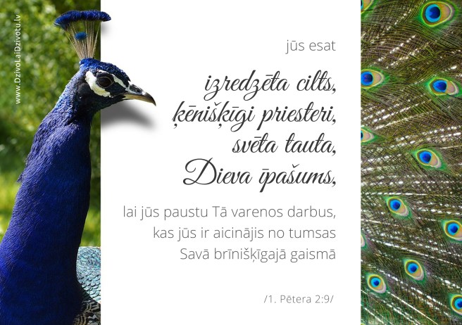 Bībele, Bībeles panti, ķēņišķīgi priesteri