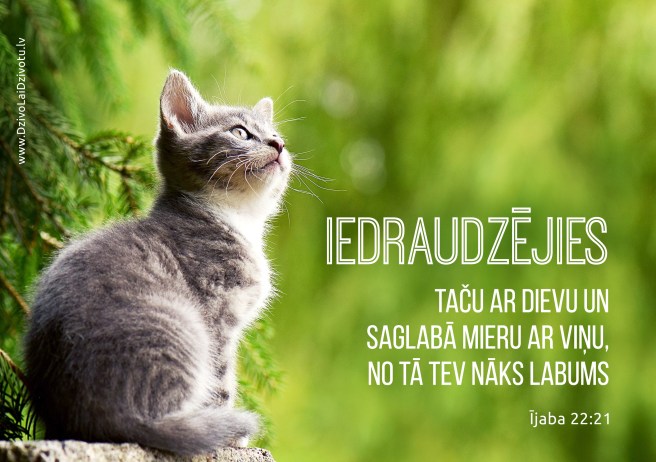 Bībele, Bībeles panti, Ījaba grāmata