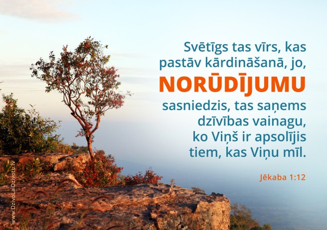 Bībele, Bībeles panti