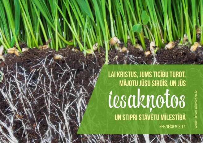 Bībele, Bībeles panti, iesakņotos