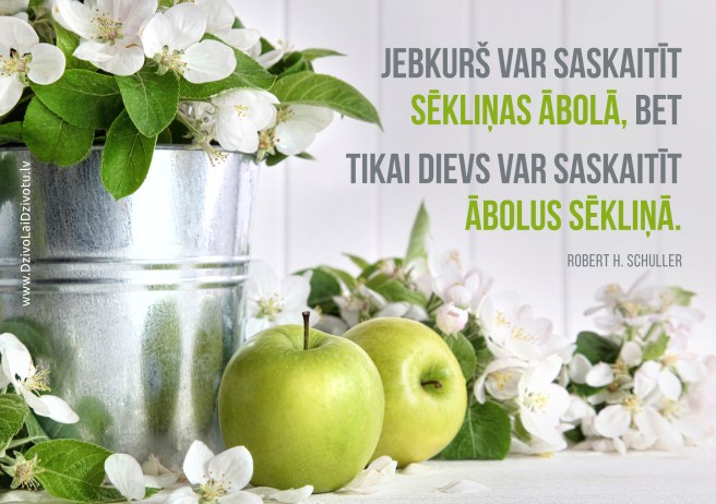 Dievs, sēklas ābolā